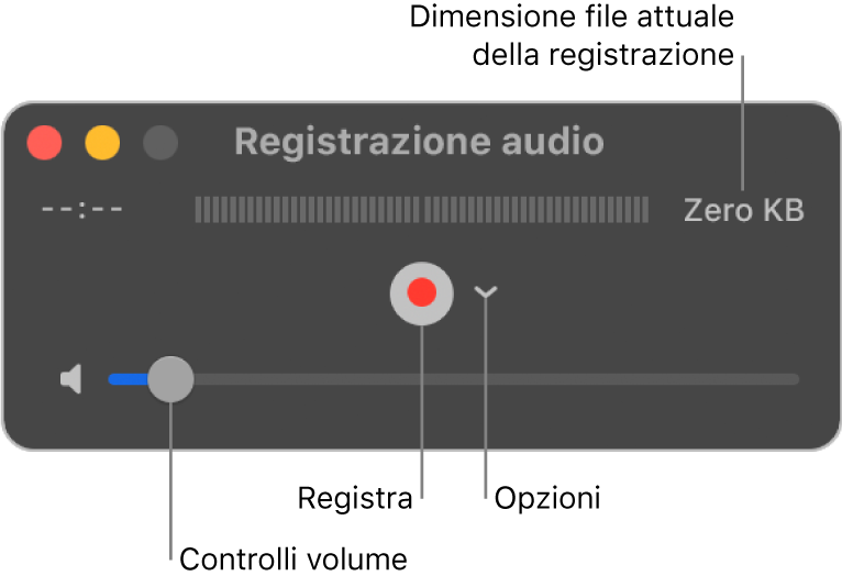 Finestra di “Registrazione audio” con il pulsante Registra e il menu a comparsa Opzioni al centro della finestra e il controllo del volume nella parte inferiore.