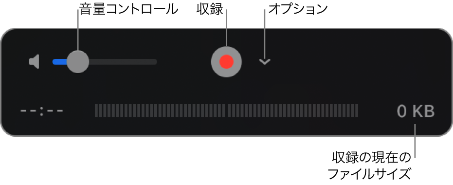 音量コントロール、収録ボタン、および「オプション」ポップアップメニューを含む収録コントロール。