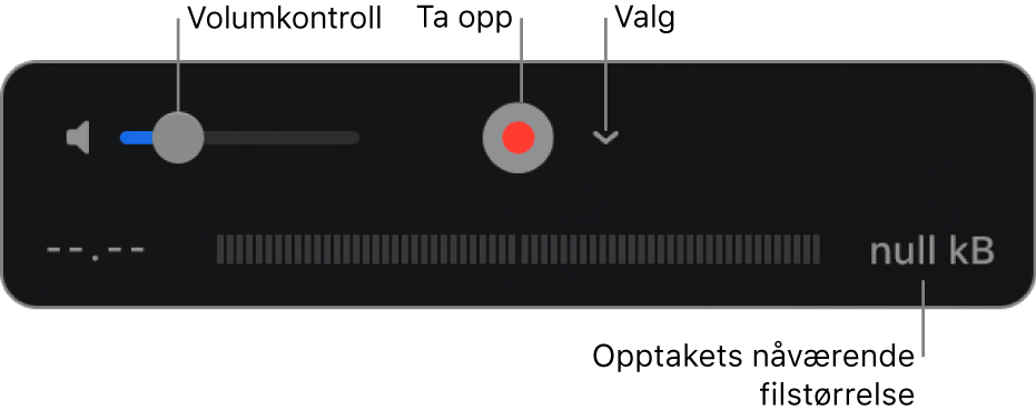 Opptakskontrollene, inkludert volumkontrollen, Ta opp-knappen og Valg-lokalmenyen.