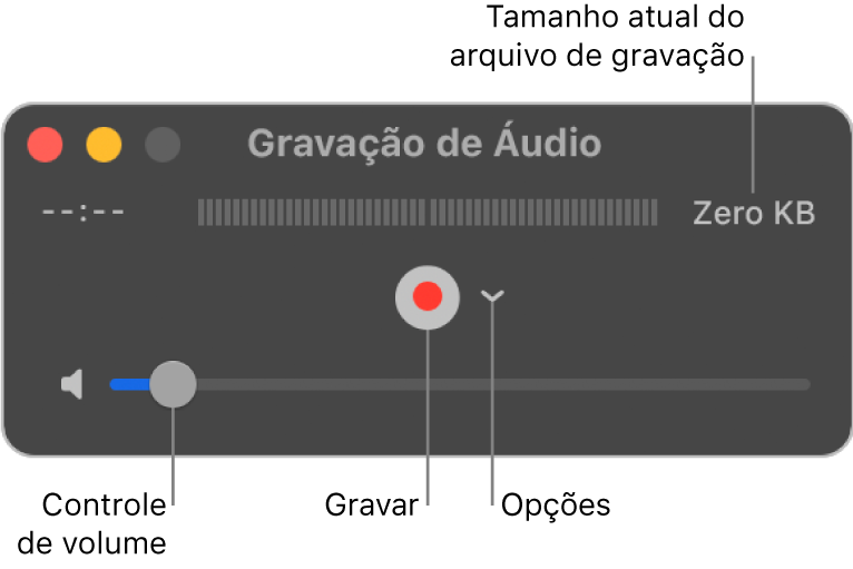 A janela da Gravação de Áudio com o botão Gravar, o menu local Opções no centro da janela e controle de volume na parte inferior.