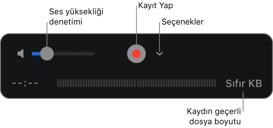 Ses yüksekliği denetimi, Kayıt Yap düğmesi ve Seçenekler açılır menüsünü içeren kayıt denetimleri.