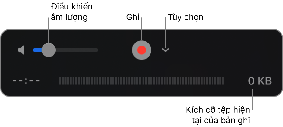 Các điều khiển ghi, bao gồm điều khiển âm lượng, nút Ghi và menu bật lên Tùy chọn.