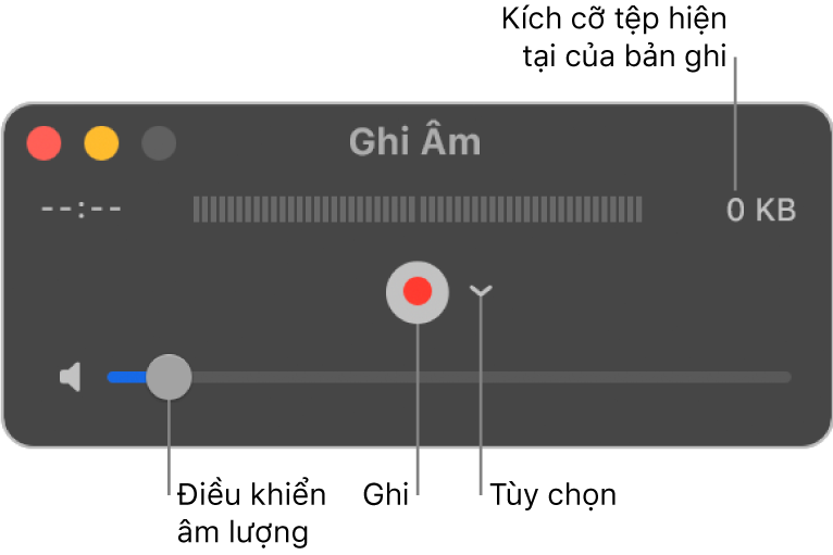 Cửa sổ Bản ghi âm thanh với nút Ghi và menu bật lên Tùy chọn nằm ở giữa cửa sổ.