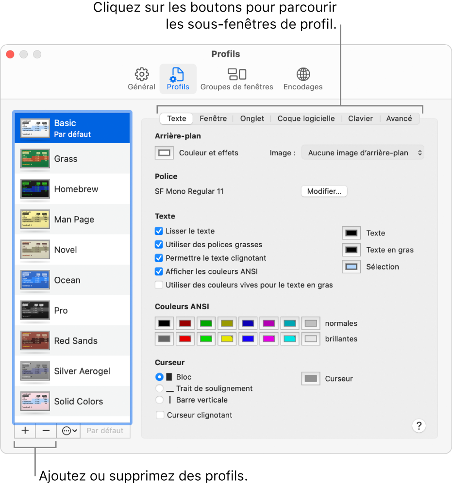 La sous-fenêtre Profils de Terminal affiche le profil de base sélectionné, des boutons pour ajouter ou retirer des profils et des boutons pour naviguer entre les sous-fenêtres de profil.