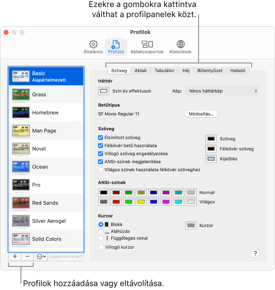 A Terminal alkalmazás Profilok panele az Egyszerű profillal, amely kijelölve látható, ezenkívül a profilok hozzáadására és eltávolítására, illetve a profilpanelek közötti váltásra használható gombokkal.