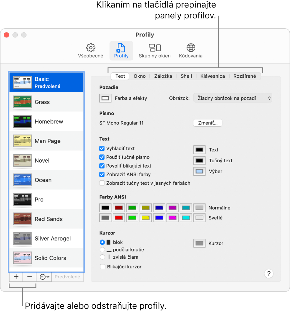 Panel Profily Terminálu zobrazujúci vybratý profil Základný, tlačidla na pridanie alebo odstránenie profilov a tlačidlá na prepínanie panelov profilov.