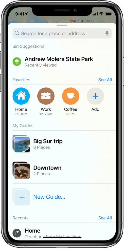 The search card fills the screen. The section for My Guides appears below the Favorites row. In the My Guides section are guides named “Big Sur trip” and “Downtown,” and an option for creating a new guide.