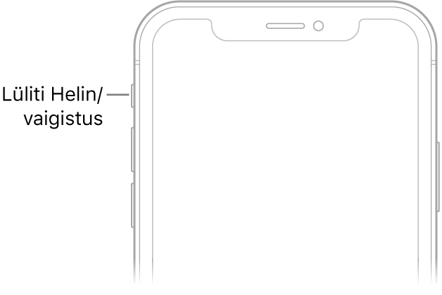 iPhone'i esikülje ülaosa koos väljaviiguga lülitile Helin/vaigistus.