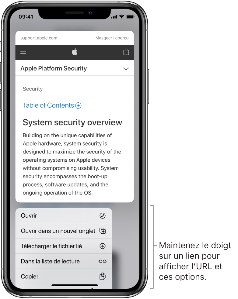 Surfer Sur Le Web A L Aide De Safari Sur L Iphone Assistance Apple Surfer Sur Le Web A L Aide De Safari Sur L Iphone Assistance Apple