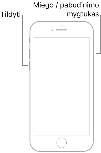 „iPhone 7“ iliustracija su į viršų nukreiptu ekranu. Tildymo mygtukas parodytas kairėje įrenginio pusėje, o miego / pažadinimo mygtukas parodytas dešinėje.