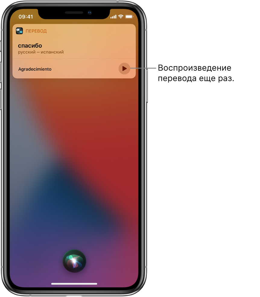 Что за программа siri на айфоне