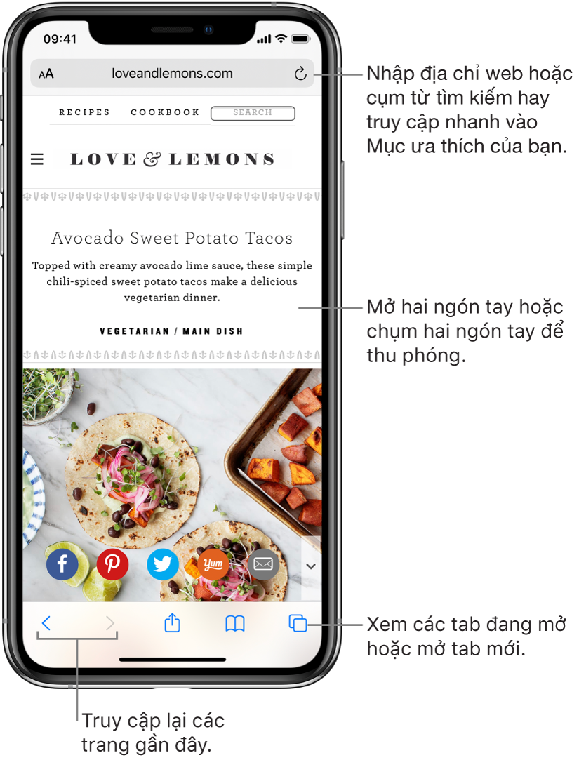 Một trang web trong cửa sổ Safari, với trường địa chỉ ở trên cùng. Ở dưới cùng, từ trái sang phải, là các nút Quay lại, Chuyển tiếp, Chia sẻ, Dấu trang và Trang.