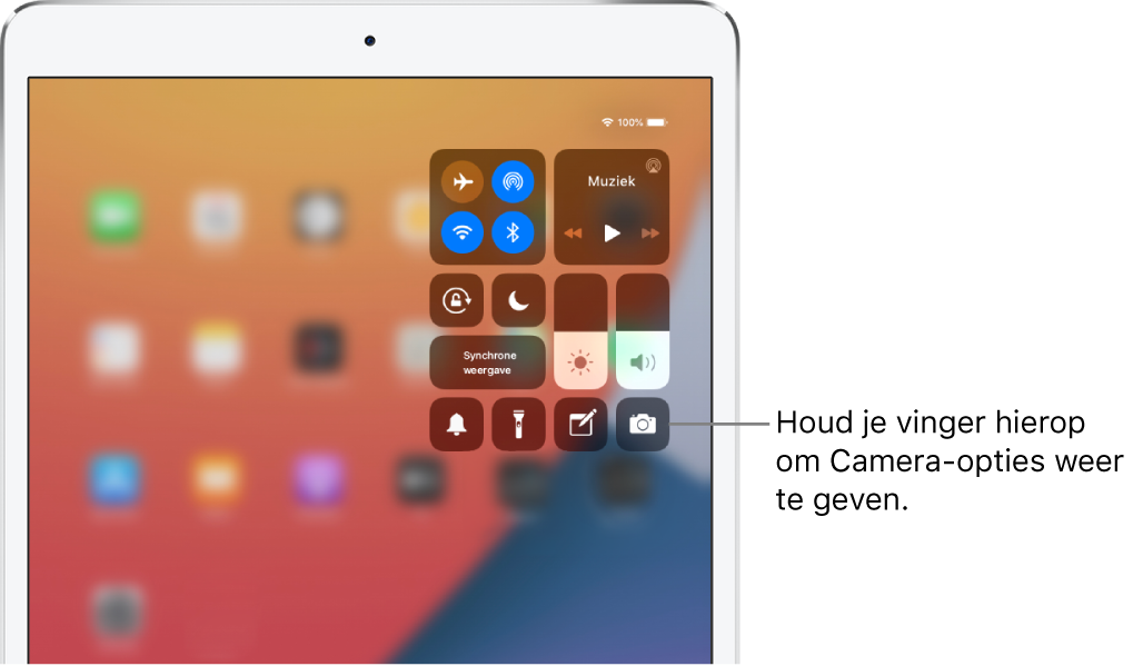 Regelaars voor de vliegtuigmodus, mobiele data, wifi en Bluetooth in de groep linksboven in het bedieningspaneel voor iPad-modellen (Wi-Fi + Cellular). In een bijschrift bij de Camera-regelaar staat dat je meer Camera-opties kunt zien door je vinger op het Camera-symbool (rechtsonder) te houden.