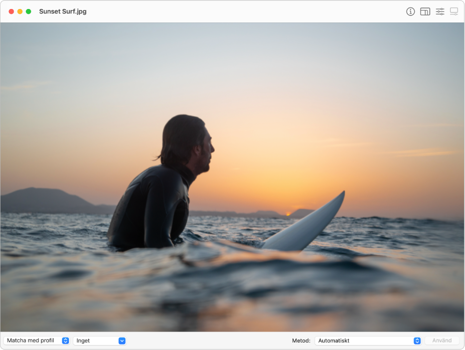 Fönstret ColorSync-verktyg visar en bild av en man som sitter på en surfingbräda i havet.