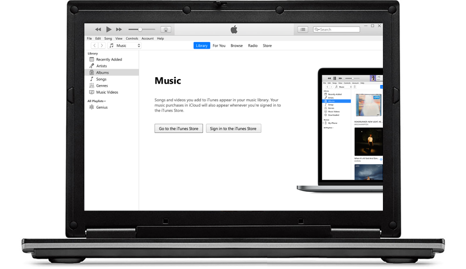 A PC with a new, empty iTunes library.