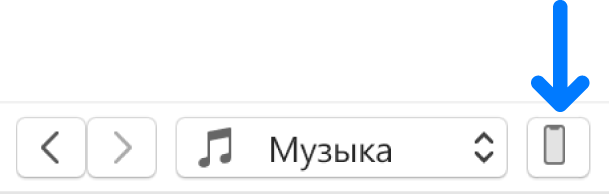 Выбрана кнопка устройства возле верхней части окна iTunes.