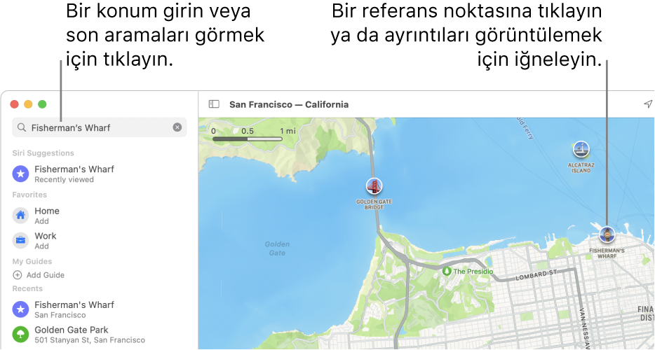 Konumu arama alanına girin veya son aramaları görmek için tıklayın. Ayrıntıları görmek için bir referans noktasını veya iğneyi tıklayın.