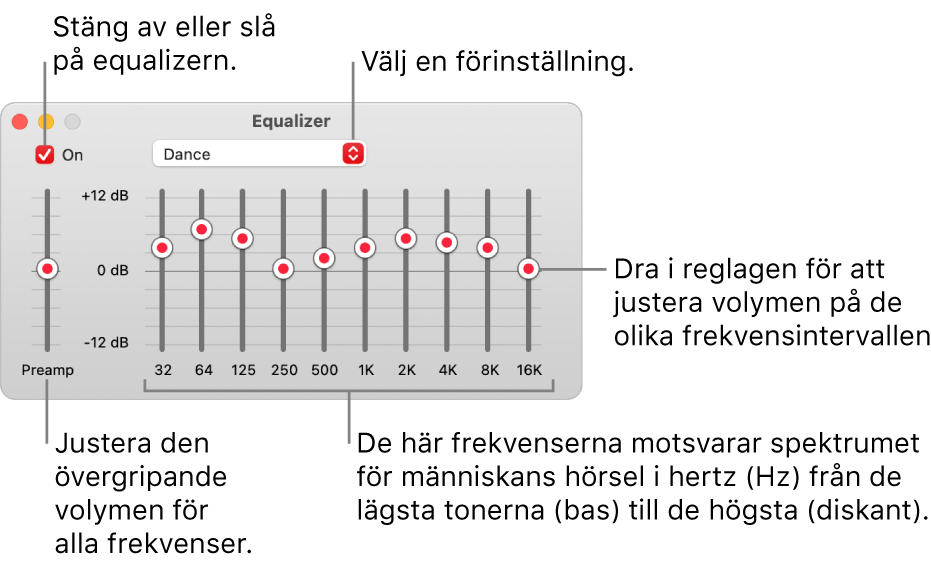 Equalizer-fönstret: I övre vänstra hörnet finns kryssrutan för att slå på Musik-equalizern. Bredvid den finns popupmenyn med förinställningarna för equalizern. Längst till vänster kan den allmänna volymen för alla frekvenser justeras med förförstärkaren. Under förinställningarna för equalizern går det att justera volymen för olika frekvensintervall som representerar spektrumet för människans hörsel från lägsta till högsta.