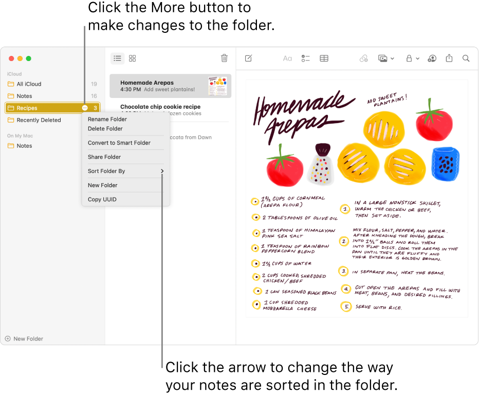 The Notes window with one folder in the sidebar showing the More button where you can make changes to a folder. Above the list of notes in the middle is the sort option, which changes the order of the notes—click the arrow to select a different sort order.
