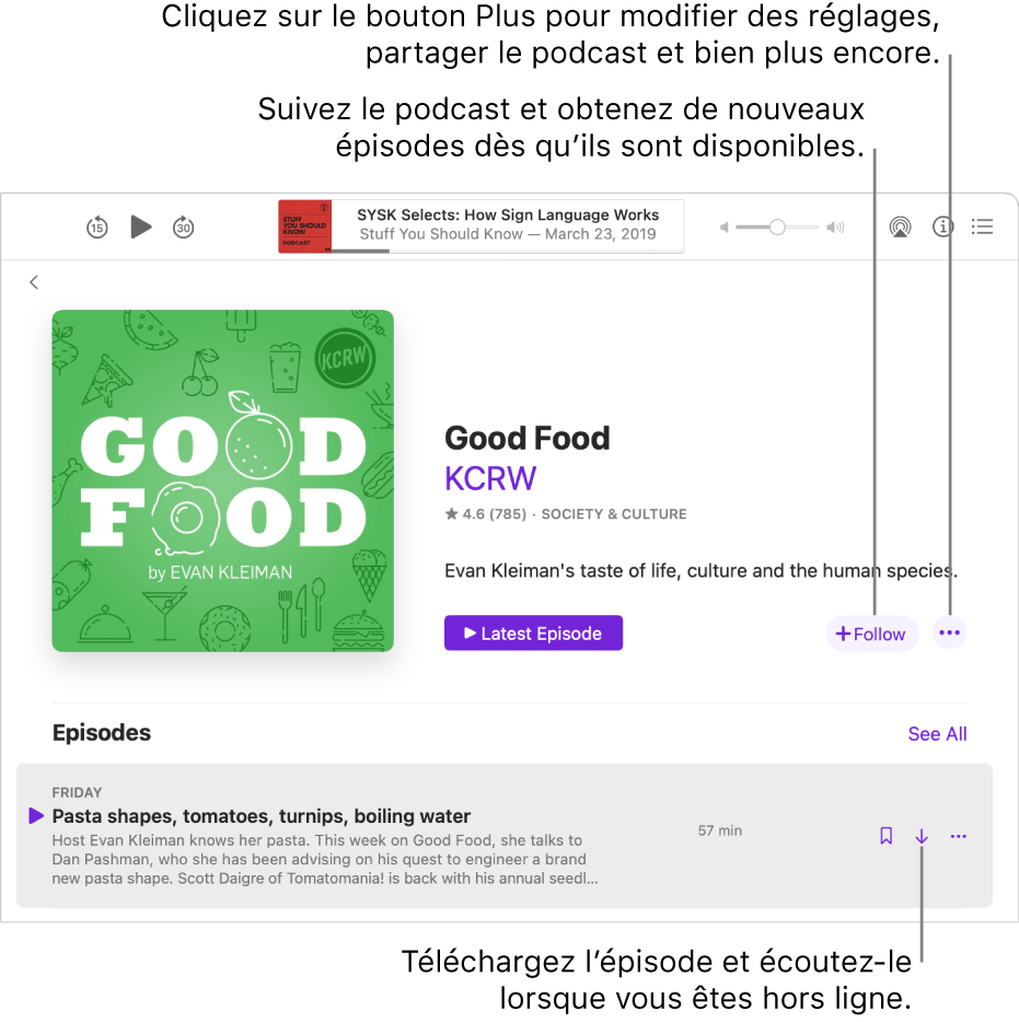 L’écran de détails du podcast. Cliquez sur Suivre pour télécharger les nouveaux épisodes dès qu’ils sont disponibles. Cliquez sur le bouton Plus pour modifier les réglages, partager le podcast, et plus encore. Téléchargez l’épisode si vous souhaitez l’écouter lorsque vous n’êtes pas connecté à Internet.