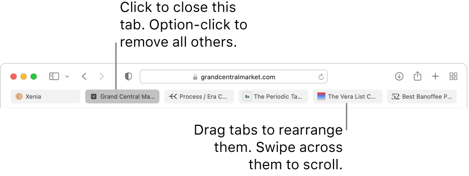 The Safari window with tabs.