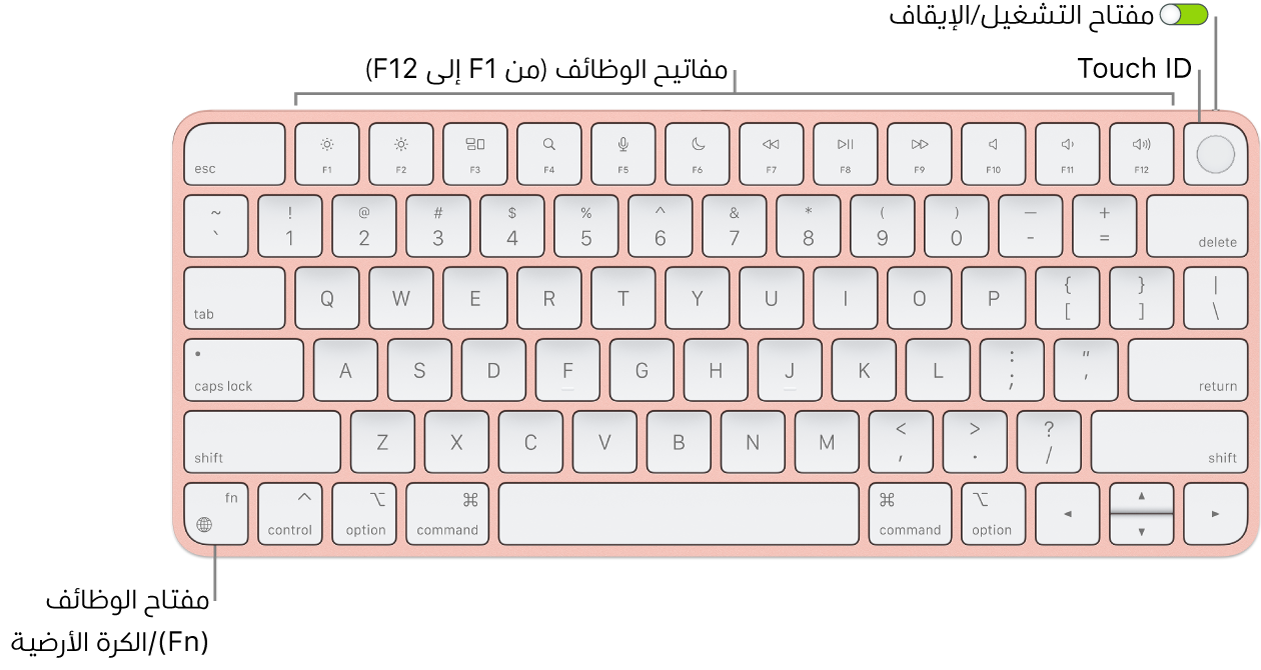 لوحة مفاتيح Magic Keyboard المزودة بـ Touch ID يظهر بها صف مفاتيح الوظائف و Touch ID على امتداد الجزء العلوي، ومفتاح الوظائف (Fn)/الكرة الأرضية في الزاوية السفلية اليسرى منها.