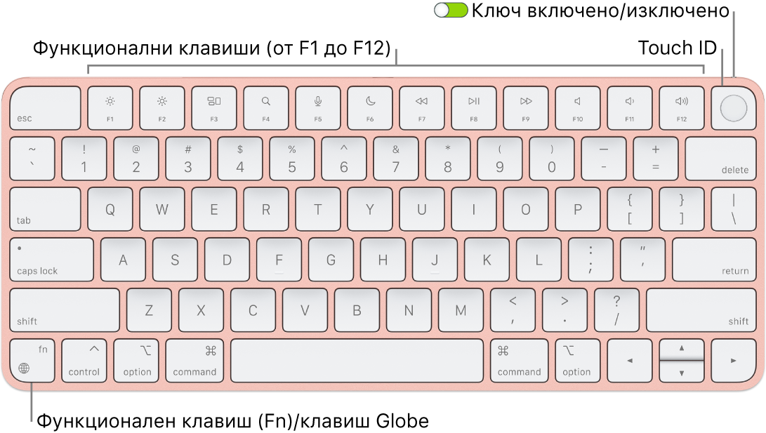 Клавиатурата Magic Keyboard с Touch ID, която показва редицата с функционални клавиши, Touch ID в горния край и клавиша Function (Fn)/Globe в долния ляв ъгъл.
