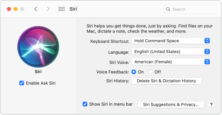 Екранът за параметри на Siri с избрана опция Enable Ask Siri (Активиране на запитвания към Siri) в лявата част и няколко други опции за персонализиране на Siri вдясно.