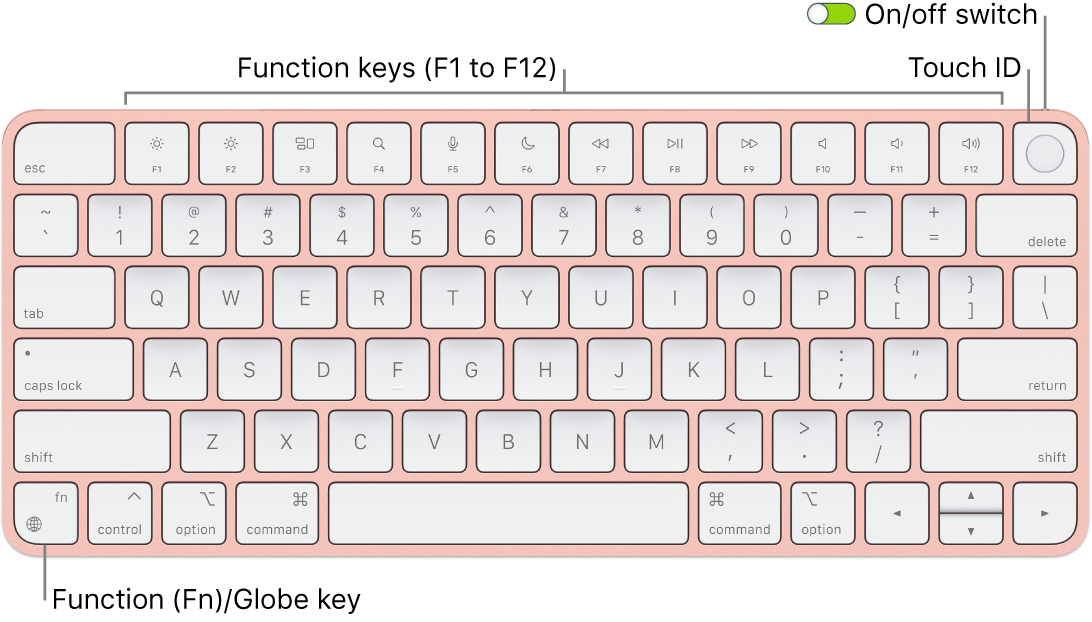 The Magic Keyboard with Touch ID showing the row of function keys and Touch ID across the top, and the Function (Fn)/Globe key in the lower-left corner.
