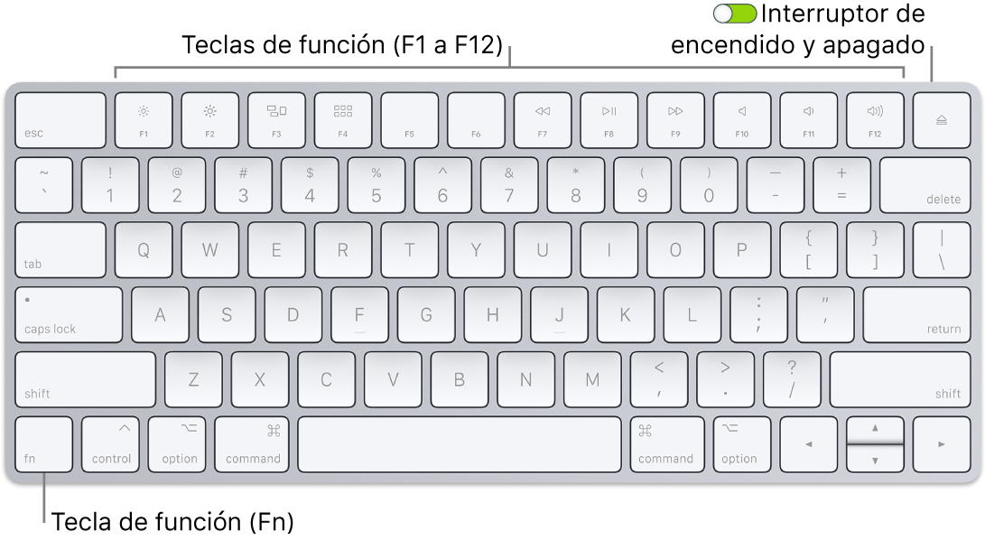 Teclado Magic Keyboard de mostrando la tecla de función (Fn) en la esquina inferior izquierda y el botón de encendido/apagado en la esquina superior derecha del teclado.
