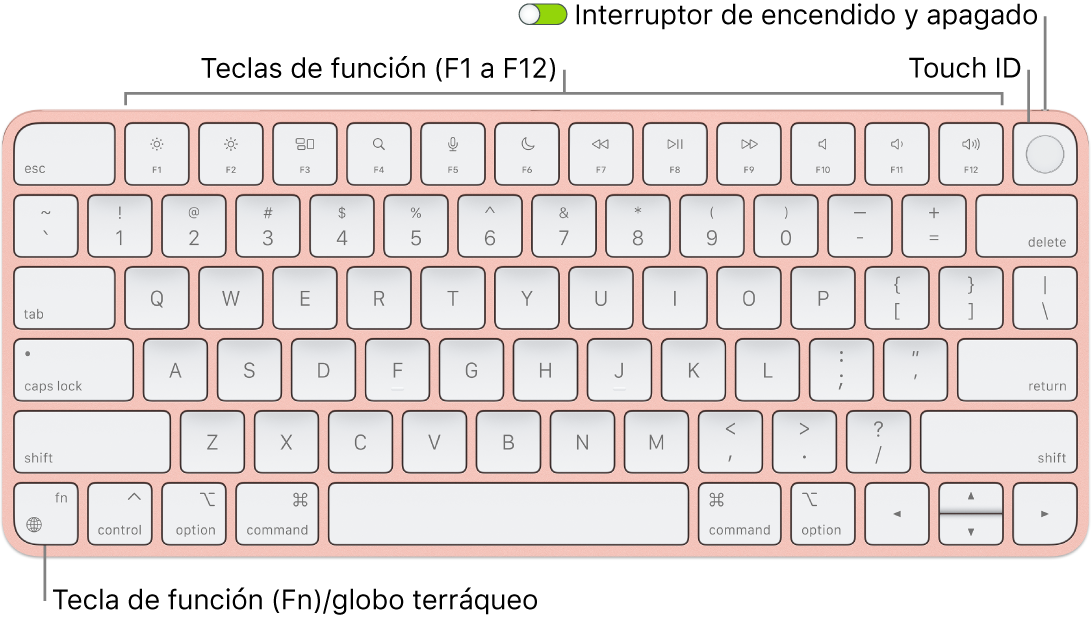El Magic Keyboard con Touch ID mostrando la fila de teclas de función con el sensor Touch ID en la parte superior y la tecla de función (Fn)/globo terráqueo en la esquina inferior izquierda.
