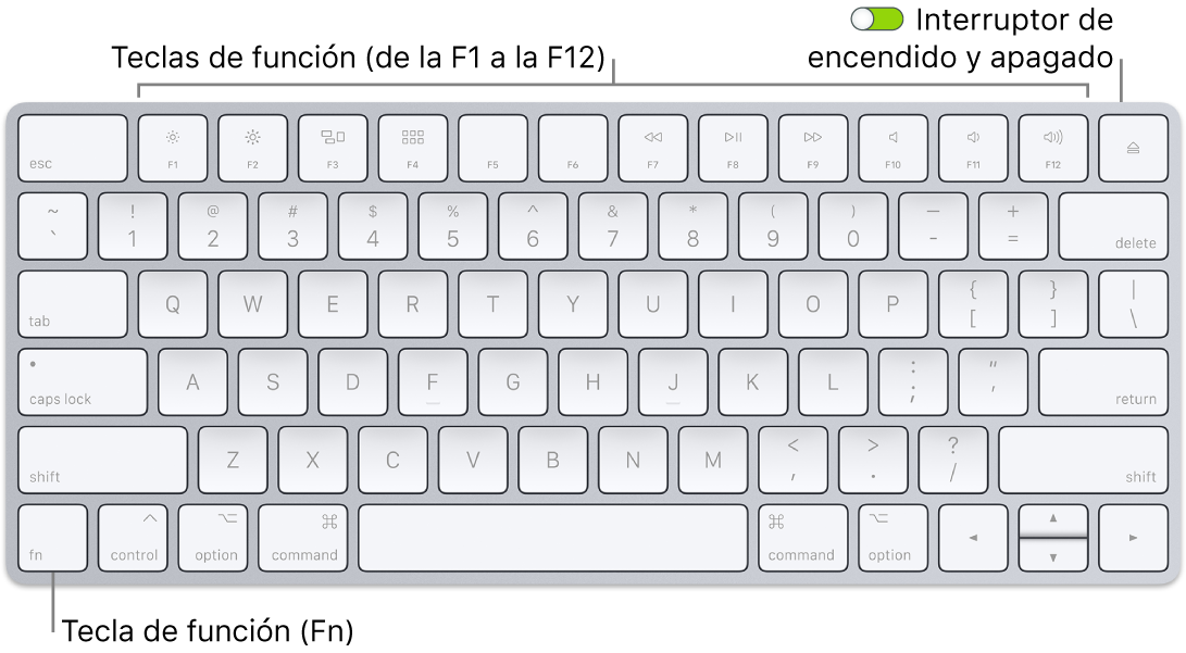 Teclado Magic Keyboard con la tecla de función (Fn) en la esquina inferior izquierda y el interruptor de encendido/apagado en la esquina superior derecha del teclado.