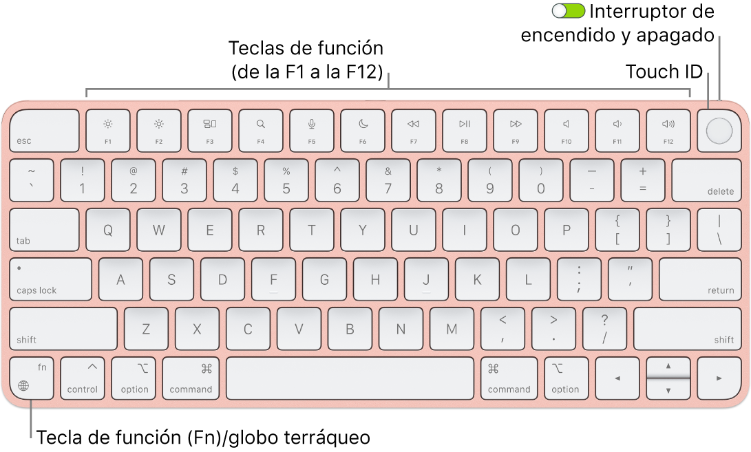 Magic Keyboard con Touch ID, con la fila de teclas de función y Touch ID en la parte superior, y la tecla del globo terráqueo o función (Fn) en la esquina inferior izquierda.