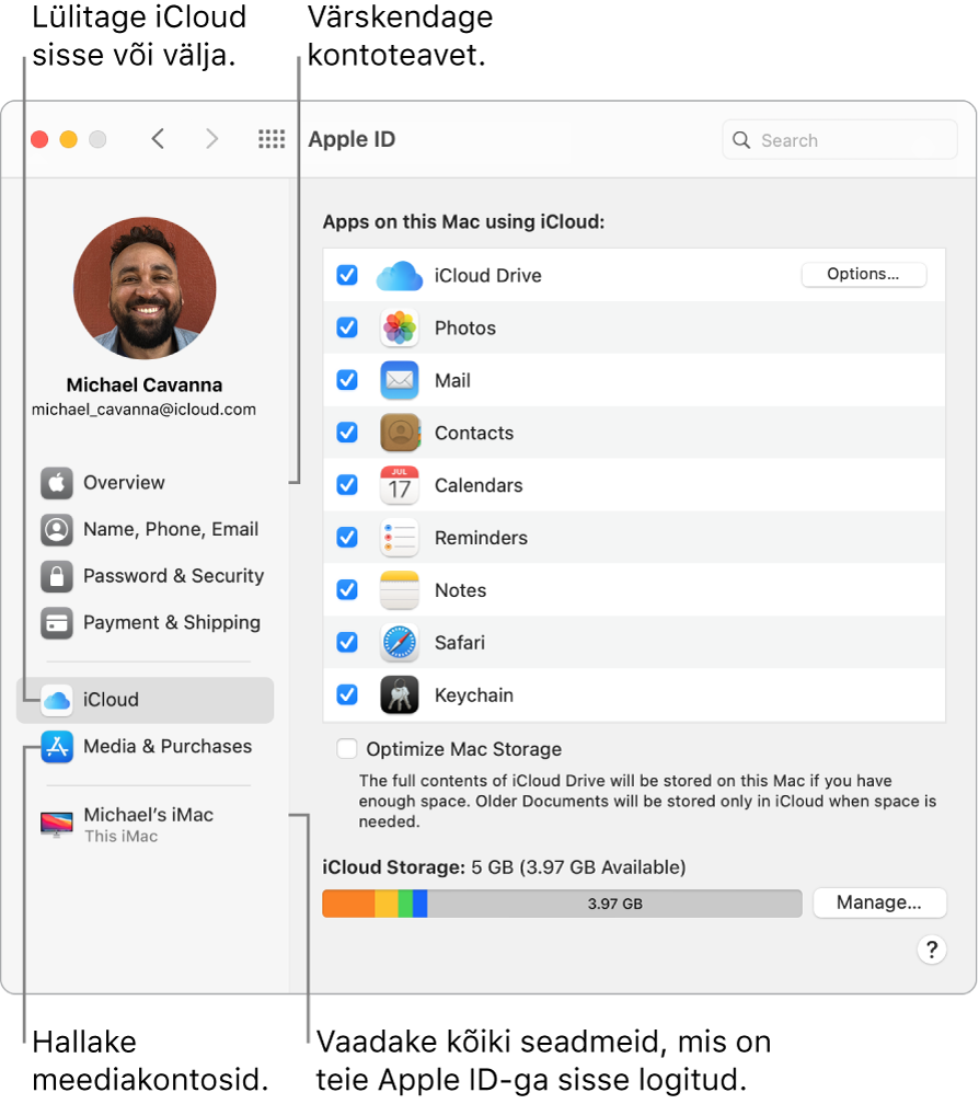 Apple ID paan jaotises System Preferences. Oma kontoinfo uuendamiseks, iCloudi sisse või välja lülitamiseks, meediakontode haldamiseks ning kõikide teie Apple ID-ga sisselogitud seadmete kuvamiseks klõpsake vastaval küljeriba üksusel.