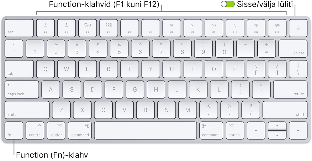 Magic Keyboardi alumises vasakus nurgas on klahv Function (Fn) ning ülemises paremas nurgas sisse-/väljalülitamise lüliti.