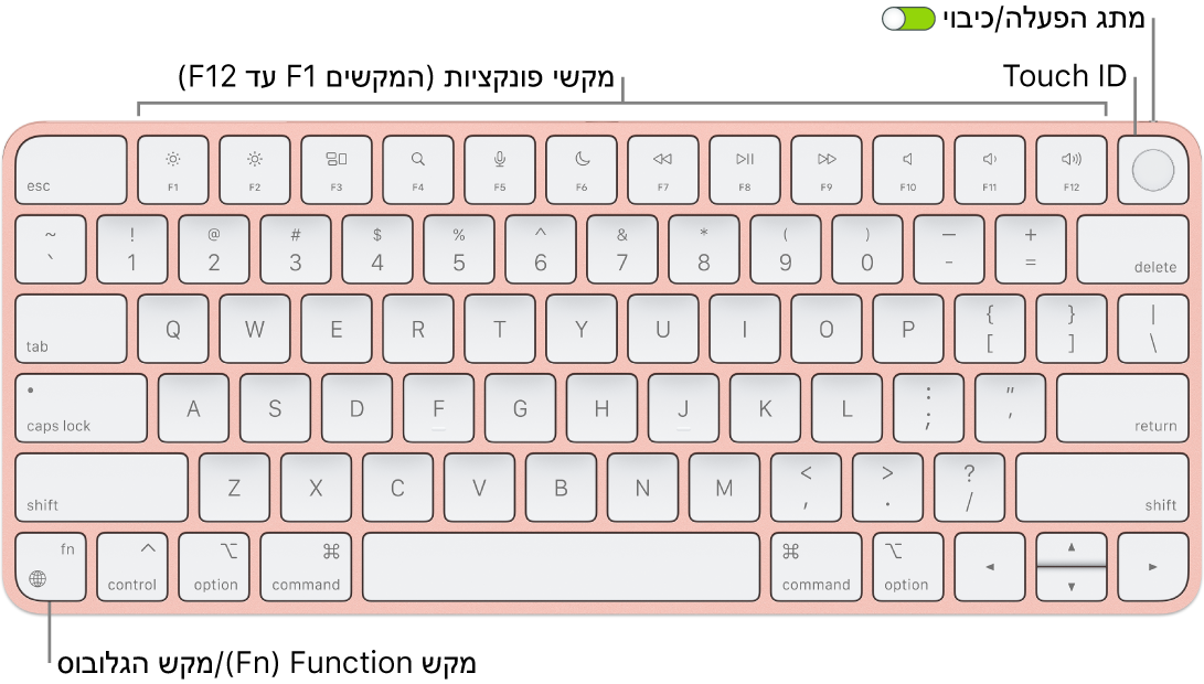 ה-Magic Keyboard עם ה-Touch ID מציגה את שורת מקשי הפונקציה וה-Touch ID לאורך החלק העליון, ואת מקש הפונקציה (Fn)/גלובוס משמאל למטה.
