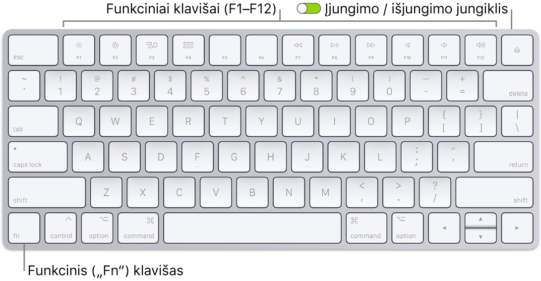 „Magic Keyboard“, apatiniame kairiajame klaviatūros kampe matosi klavišas „Function“ („Fn“), o viršutiniame dešiniajame kampe – įjungimo / išjungimo perjungiklis.