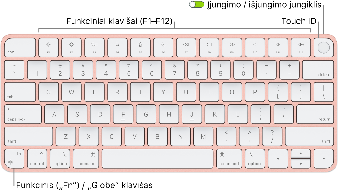 „Magic Keyboard“ su „Touch ID“, viršuje matosi funkcinių klavišų eilė, „Touch ID“, o apatiniame kairiajame kampe – klavišas „Function“ („Fn“) / „Globe“.