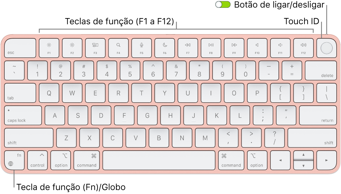 Teclado Magic Keyboard com Touch ID a mostrar a linha de teclas de função e Touch ID na parte superior, e a tecla de função (Fn)/Globo no canto inferior esquerdo.