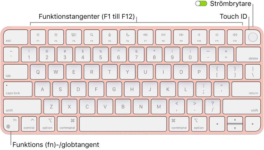 Magic Keyboard med Touch ID där raden med funktionstangenter och Touch ID visas längs överkanten och funktions (Fn)-/globtangenten i det nedre vänstra hörnet.