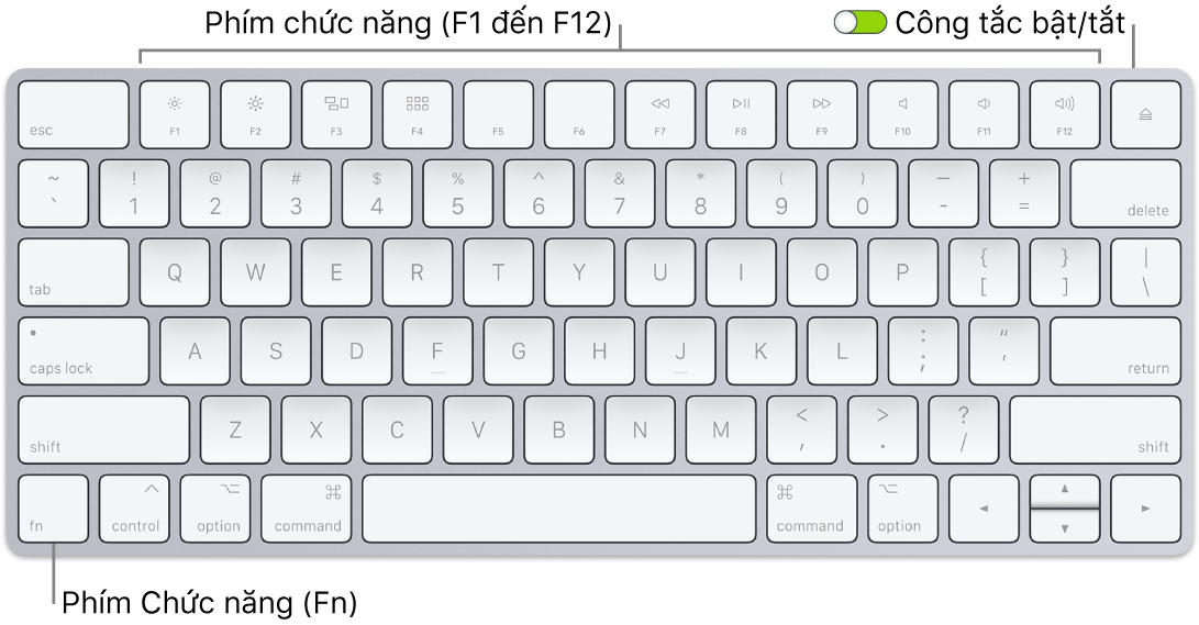Magic Keyboard đang hiển thị phím Function (Fn) ở góc phía dưới bên trái và công tắc bật/tắt ở góc phía trên bên phải của bàn phím.