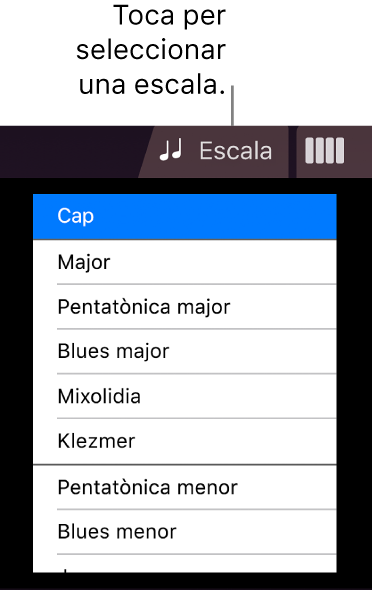 Botó “Escala de cordes” i llista d’escales