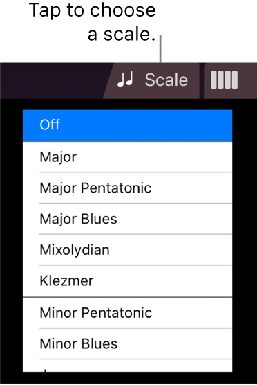 Strings Scale button and Scale list