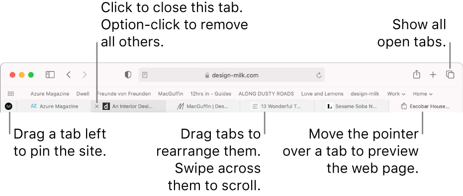 The Safari window with tabs.