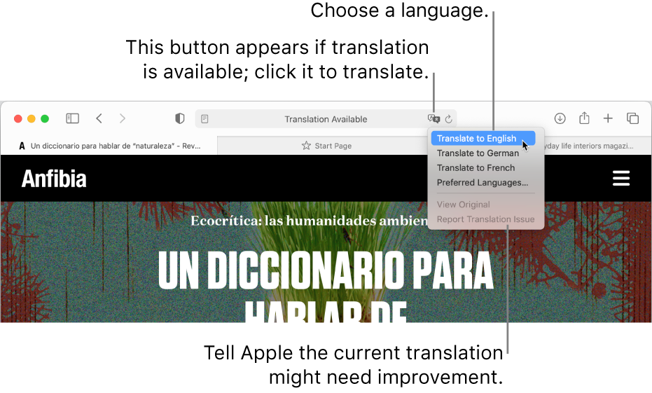 mac translator for youtube audio