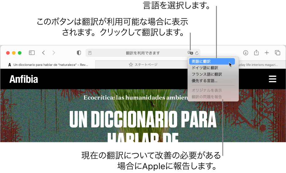 Macのsafariでwebページを翻訳する ベータ Apple サポート