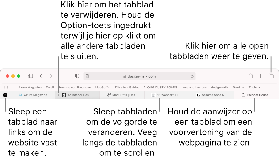 Het Safari-venster met tabbladen.