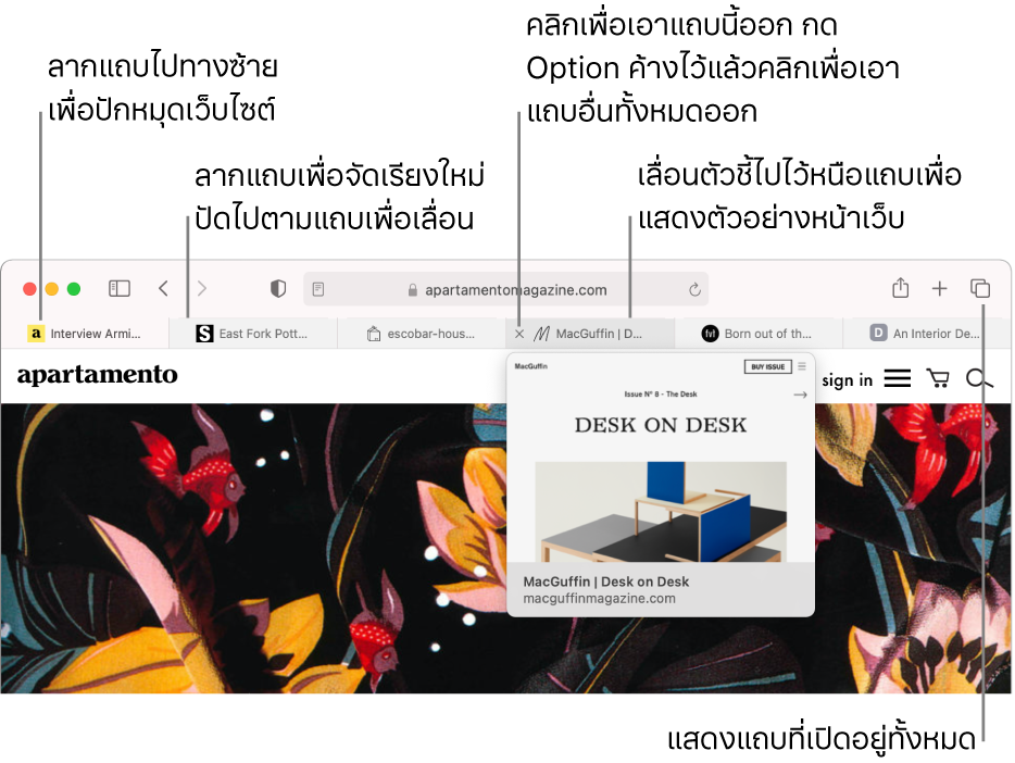 หน้าต่าง Safari ที่มีหลายแถบเปิดอยู่ โดยมีตัวชี้อยู่เหนือแถบแถบหนึ่งที่แสดงการแสดงตัวอย่างของหน้าเว็บ