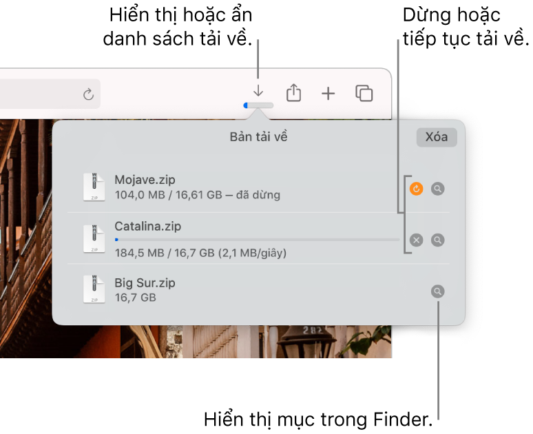 Nút Tải về trên thanh công cụ, có danh sách tải về bên dưới.
