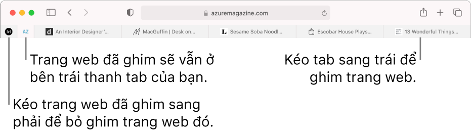 Trang web được ghim trên thanh tab của Safari.